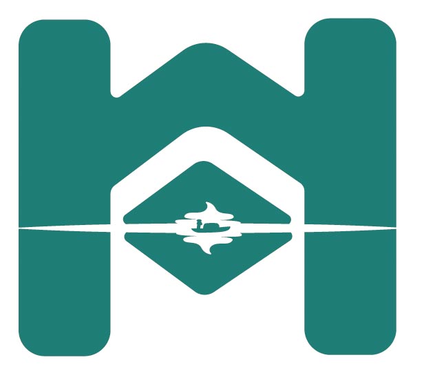 ico