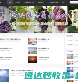 首佳医生集团
