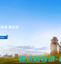新华发展集团