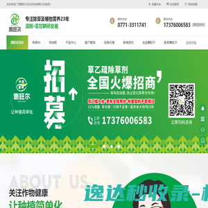 桉树除草剂