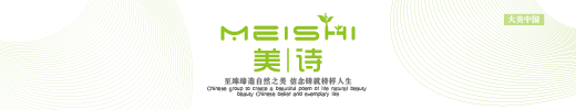 美诗佳颜