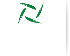 错误信息