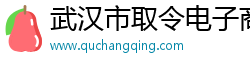 武汉市取令电子商务有限公司