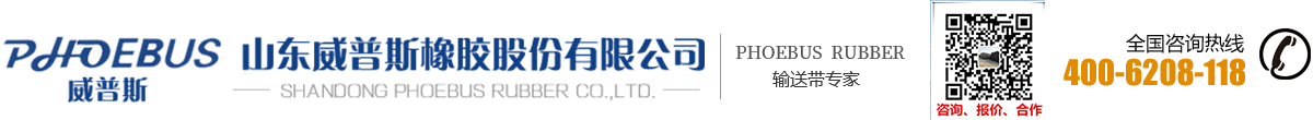 山东威普斯橡胶股份有限公司